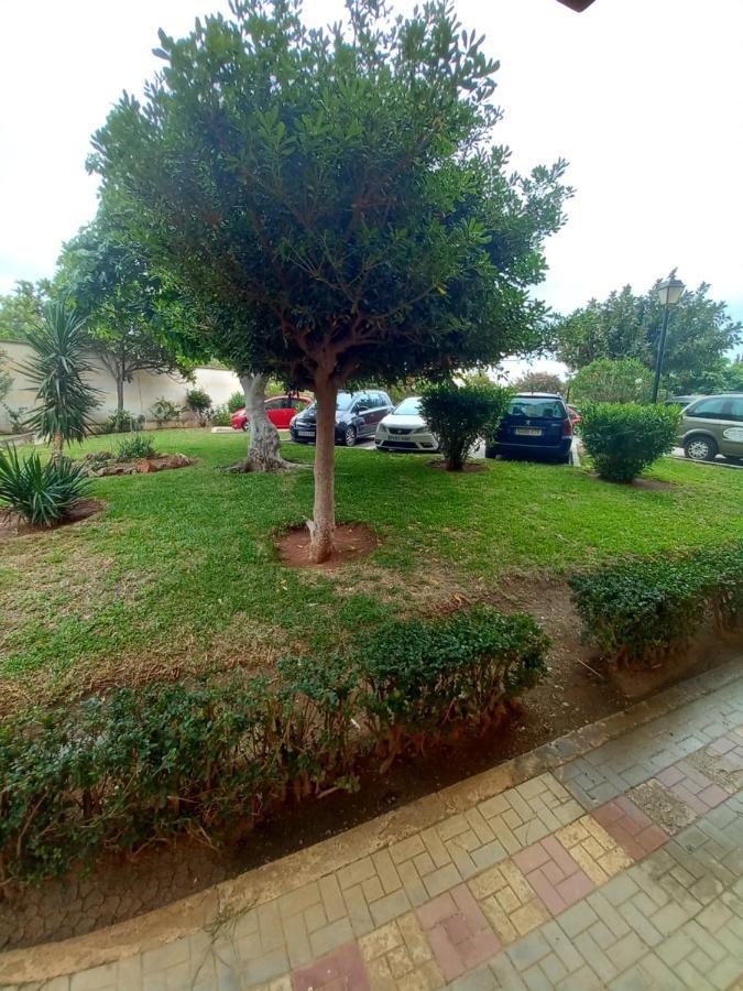 بينالماذينا Acuario Apartment المظهر الخارجي الصورة